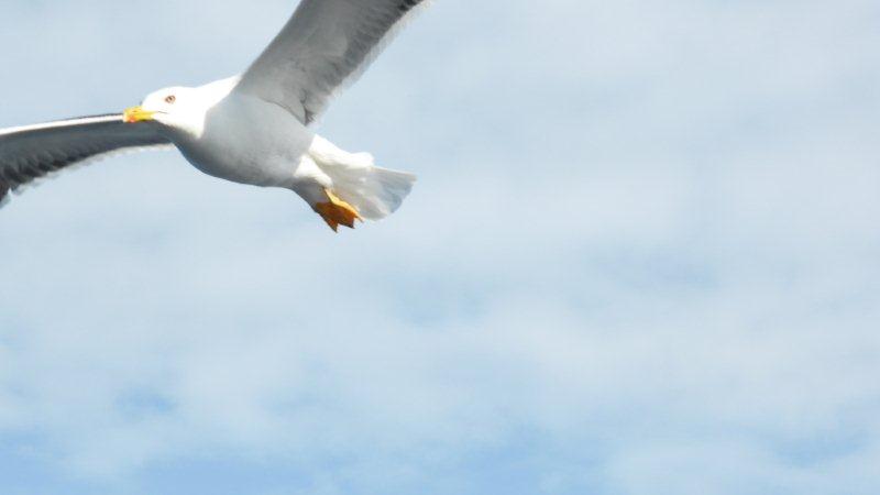 P1000861 - Kopie.JPG